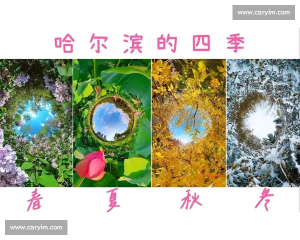 天津与哈尔滨城市对决:气候经济文化与生活方式全景比较 天津与哈尔滨城市对决:气候经济文化与生活方式全景比较